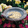 Dragonfly Garden Bird Feeder Dragonfly Garden Bird Feeder