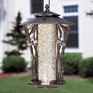 Dragonfly Silhouette Feeder Dragonfly Silhouette Feeder